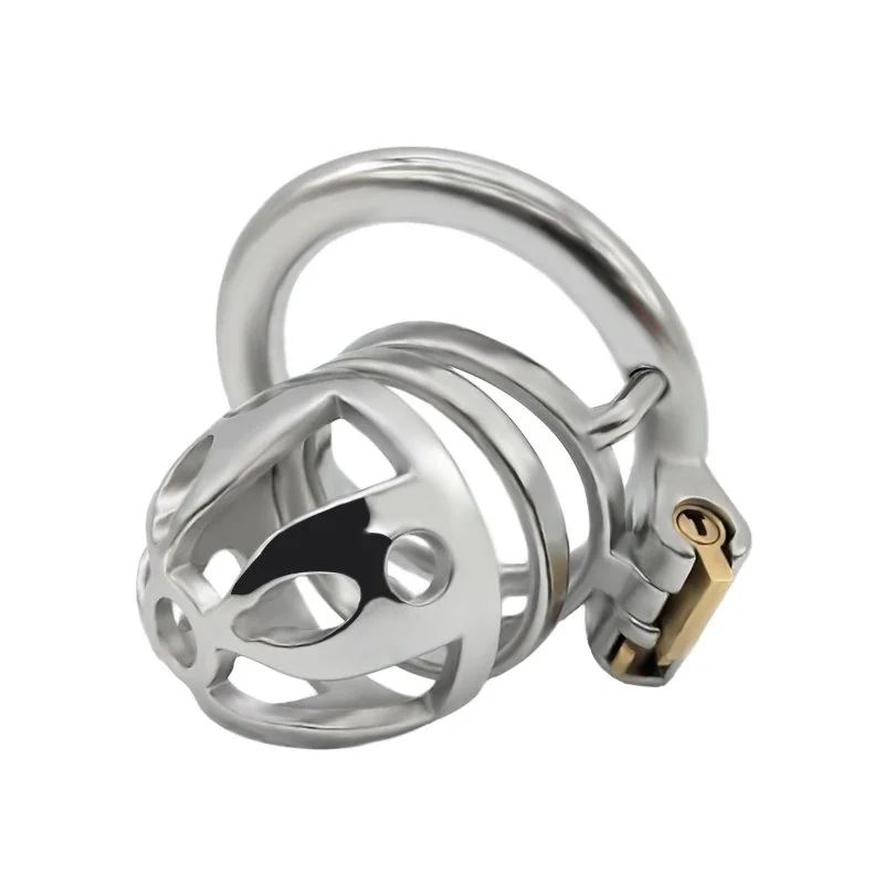 Adult Games Metal Hollow Male Chastity Lock Penis Cock Cage for Men Sex Toys