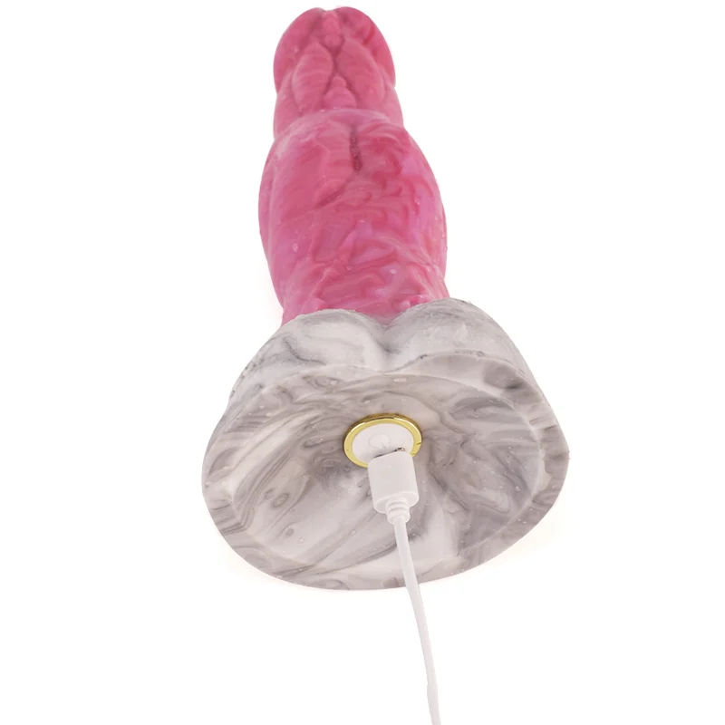 9 Inch Large Erotic Body Massage Vibrator Remote Artificial Dildo Kinky extreme Vibrator for Women