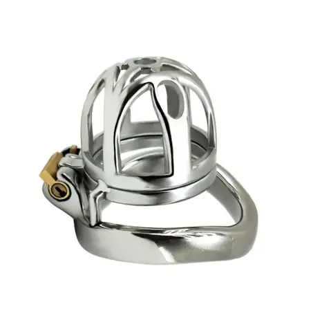 Small Cage Anti Pull Out Chastity Steel Cage Cock Cage Lock Penis for Men
