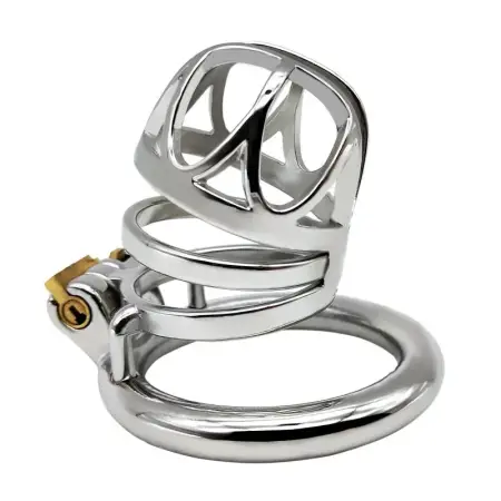Spiked Cock Cages Delay Ejaculation Cock Cage with 4 Size Penis Ring Cage Chastity Cock Ring for Game