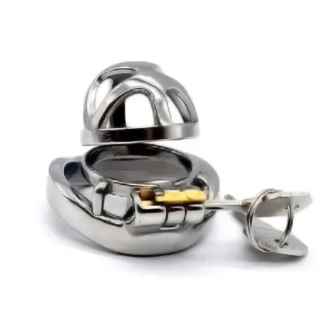 Lock Penis Cage Cock Cage with Keyholder Male Chastity Device Sex Toys Curved Cock Ring Chastity Cage for Male Masturbator