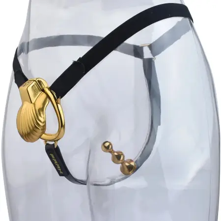 Seashell Male Chastity Cage with Anal Plug SM Anal Intercourse Penile Bondage Attack From Front and Rear Sex Toy for Man