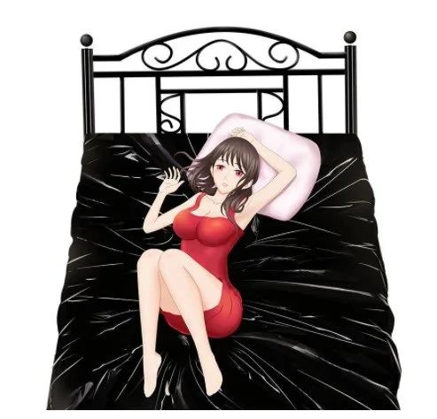 Adult Sexual Products Waterproof PVC Disposable SM Bed Sheet for Couple