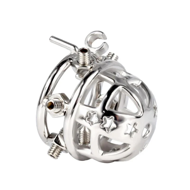 Cock Cage Metal House Chastity Devices Domination Couple Fetish Male Chastity Strict Cock Cage Harness