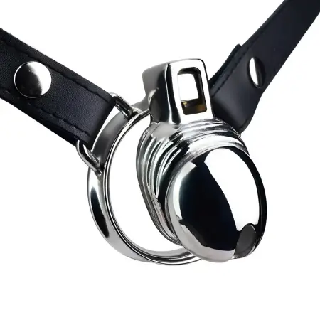 Stainless Steel Chastity Male Penis Cage Male Chastity Device Wearable Cock Cage With Belt