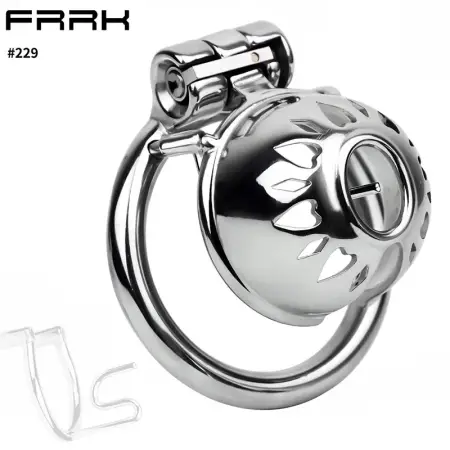 Metal Male Penis Restraint Chastity Cage Silver Glossy Built-In Penis Lock Erotic Toys for Male