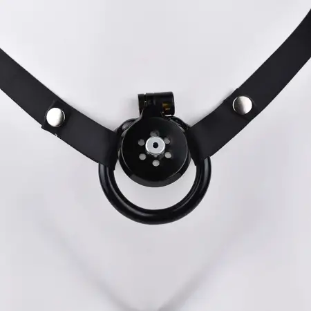 New Adult Male Chastity Lock Cock Cage Urethral Catheter Chastity Cage for Men Four Sizes Sex Toys for Man Resin Toys
