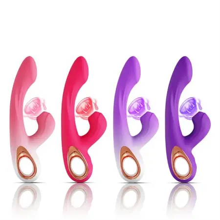 Rechargeable 10 Modes Clitoral Stimulator for Women Female Sex Toy Sucking Rabbit Vibrator