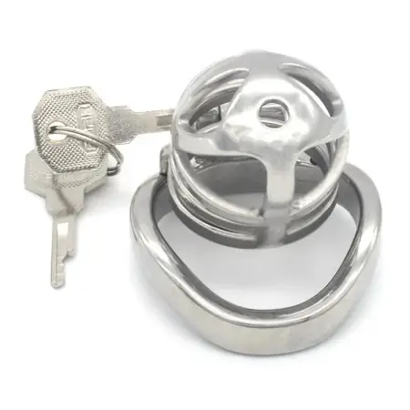 Metal Male Chastity Cage Penis Restraint with Keyholder Sex Toys Male Chastity Device Chastity Cock Cage for Man Masturbator