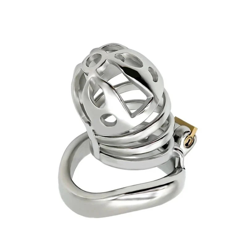 Male Chastity Device Cock Cage, Wearable Slave Body Control Locking Sex Toy for Men
