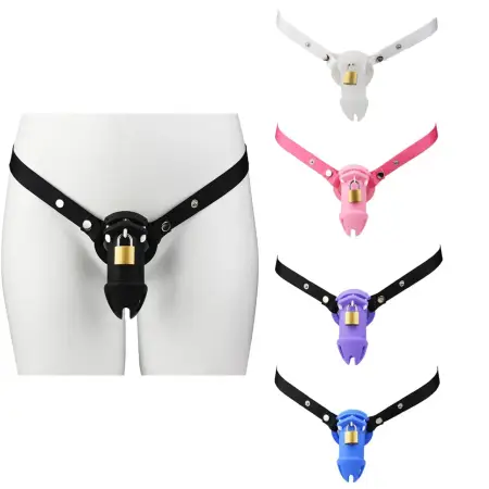 Strap on Cock Cage with Six Colors Cages for Men Lock up Device Chastity Tools