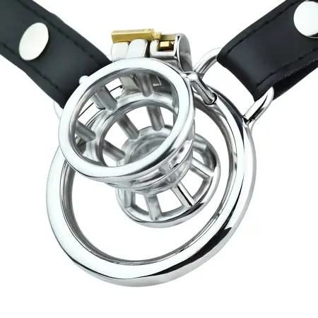 Stainless Male Chastity Device Fetish Penis Cage Strap on Dildo Cock Cage
