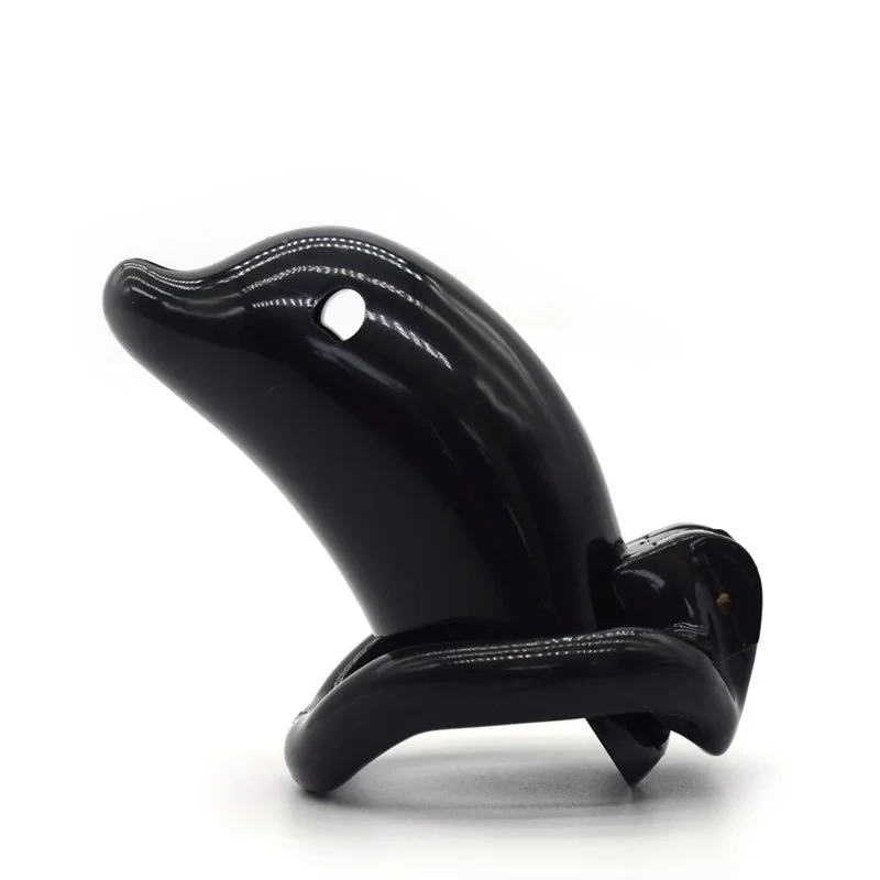 Resin Chastity Lock Chastity Cage Cock Cages Prevent Man Masturbation Sex Toys Male Sex Products for Male