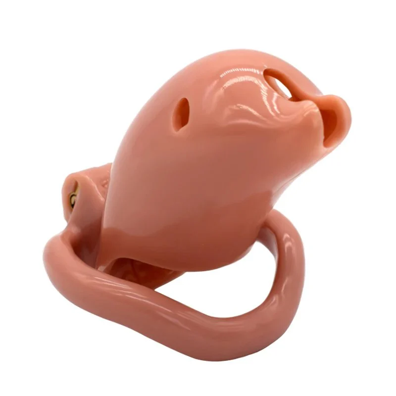 Resin Chastity Lock Chastity Cage Cock Cages Prevent Man Masturbation Sex Toys Male Sex Products for Male