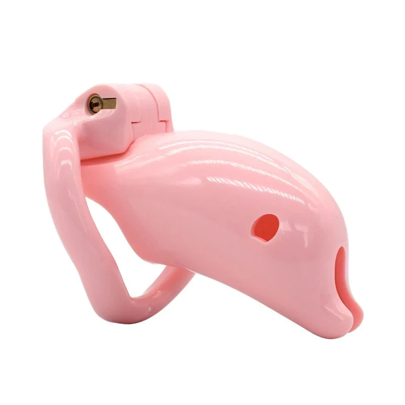 Resin Chastity Lock Chastity Cage Cock Cages Prevent Man Masturbation Sex Toys Male Sex Products for Male