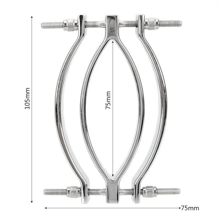 Bondage Sex Toy for Female Clitoris Clamp Stainless Steel Clitoris Clips