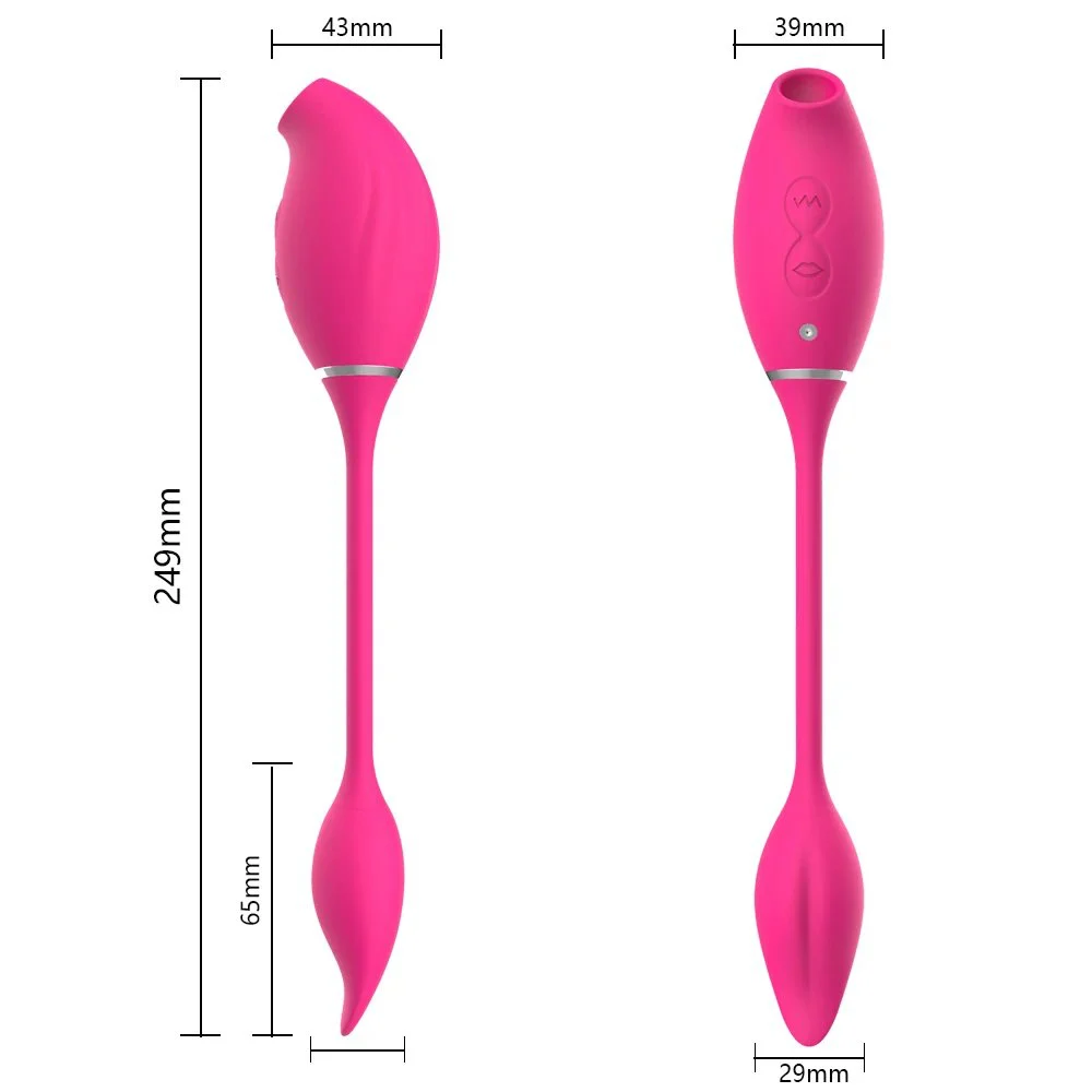 USB Rechargeable Clitoris Sucker Stimulator Vibrating Love Egg 2 in 1 Sex Toys Vibrator
