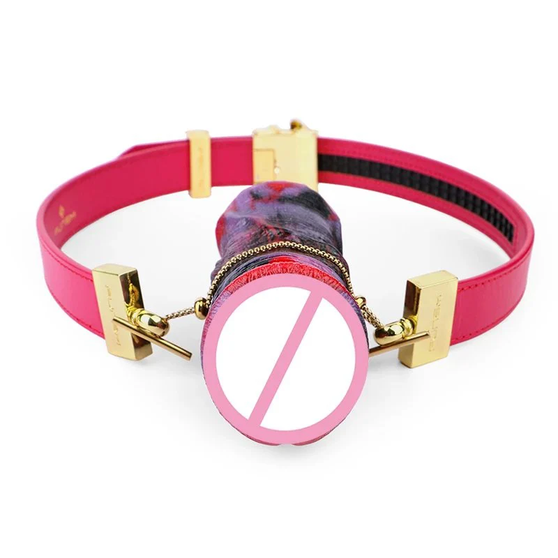 Horizontal and Vertical Styles of Adult Erotic Toys Bondage Mouth Gag Colorful Bdsm Play Props Suitable for Slave Play Gag