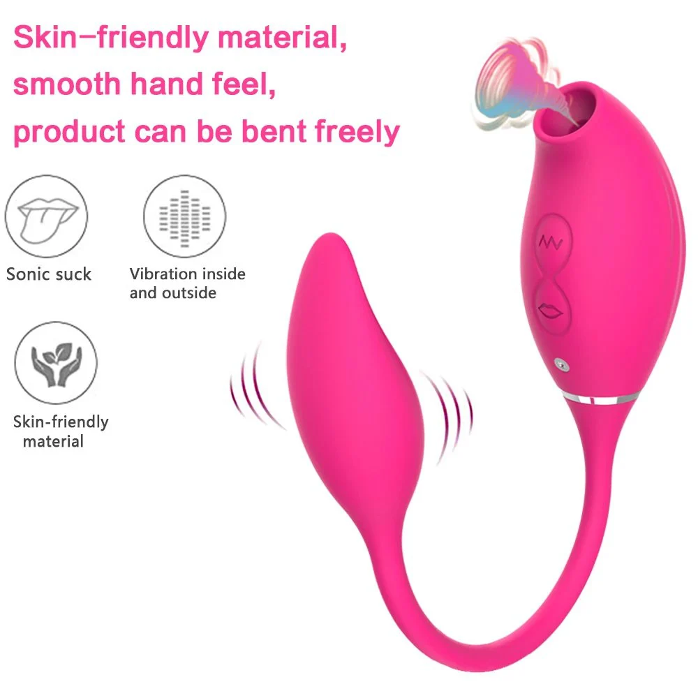 USB Rechargeable Clitoris Sucker Stimulator Vibrating Love Egg 2 in 1 Sex Toys Vibrator