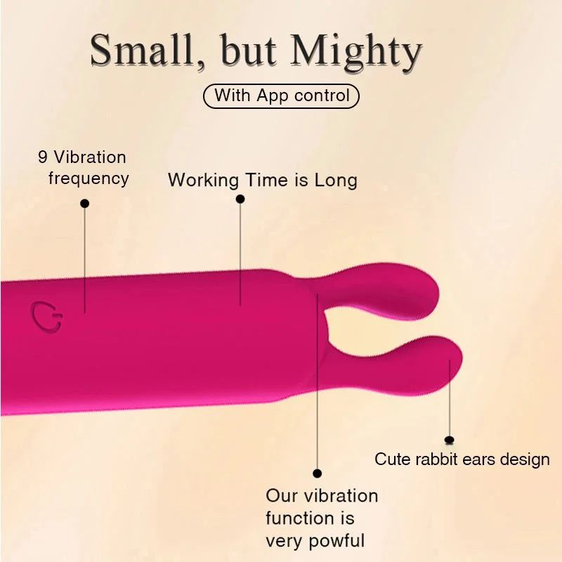 Rechargeable Sexual Pleasure Tools Personal Massager Clitoral G Spot Stimulation APP Control Rabbit Bullet Vibrator for Women