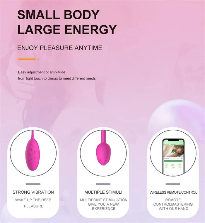 USB-Powered Egg Vibrator for Female G-Spot & Clit 10-Speed Kegel Ball & Nipple Massager Bluetooth Connectivity Panty Type