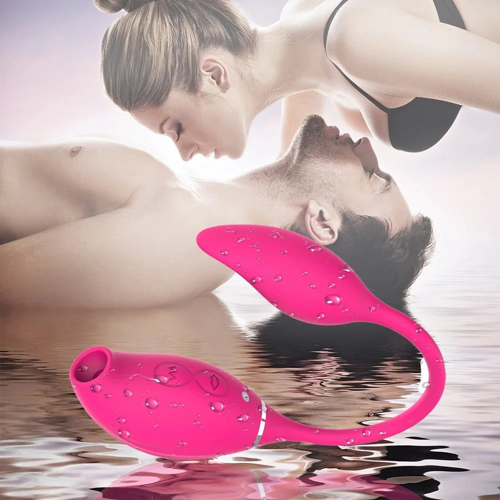 USB Rechargeable Clitoris Sucker Stimulator Vibrating Love Egg 2 in 1 Sex Toys Vibrator