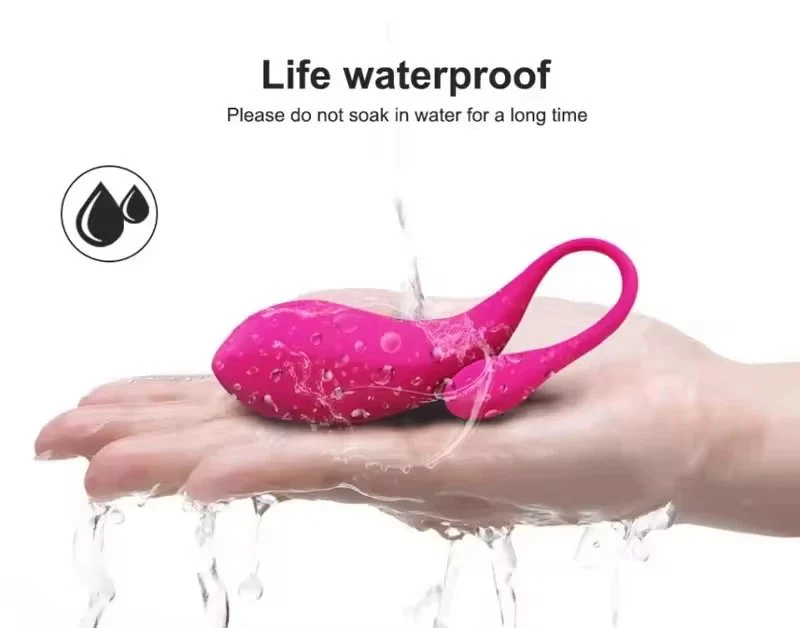 Wearable for Vibrator 10 Frequencies Rechargeable Silicone Waterproof Women's Masturbation Kegel Exercise Remote