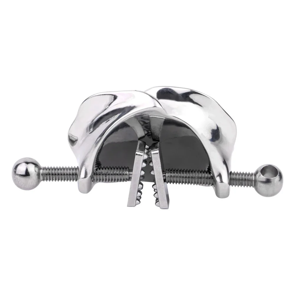 Silver Rose Nipple Clamp Breast Restraints Clip Teat Massage Nipple Stimulator Pleasure Sex Toys for Couple Sexy Shop