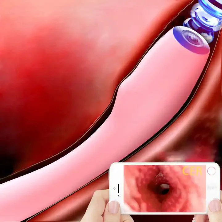 App Remote Control High Definition Peep Vibrator Female Vagina Anus Masturbator Adult Female G-Spot Vibrator With Camera