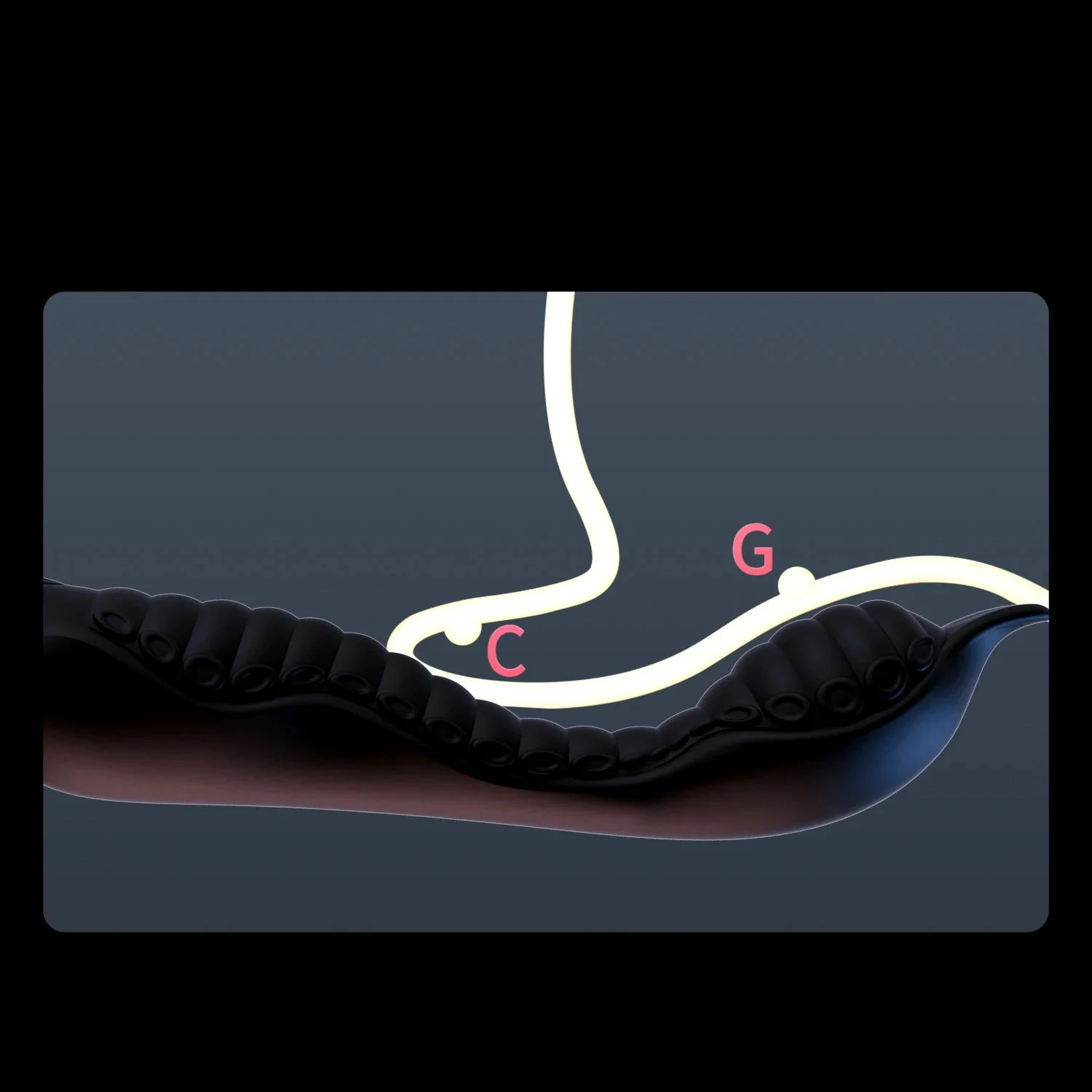 G Spot Vibrating Wave Massager Seahorse Vibrator Sex Toys Women