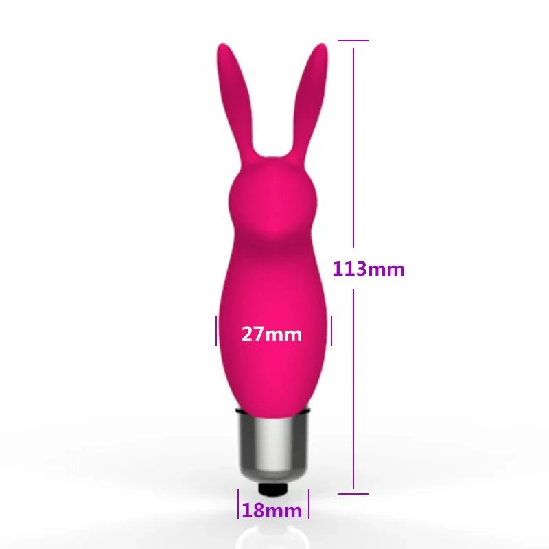 Female Masturbation Clitoris Stimulator Powerful Bullet Mini G Spot Rabbit Vibrator