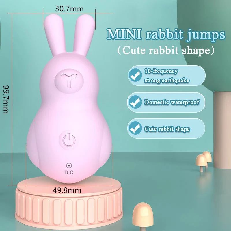 Gelance Rabbit Vibrator 10 Frequency Vibration USB Charging Adult Toys Massage Sex Vibrator for Women