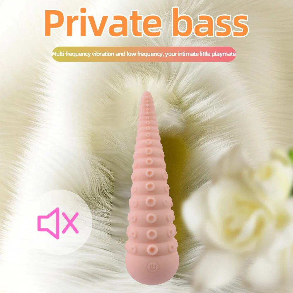 10 Speed Vibrations Rechargeable Sex Toys Dildo Adult Toys Products Panty Vibrator Masturbator g Spot Vibrator for Women