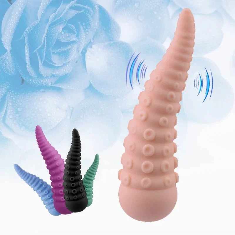 10 Speed Vibrations Rechargeable Sex Toys Dildo Adult Toys Products Panty Vibrator Masturbator g Spot Vibrator for Women