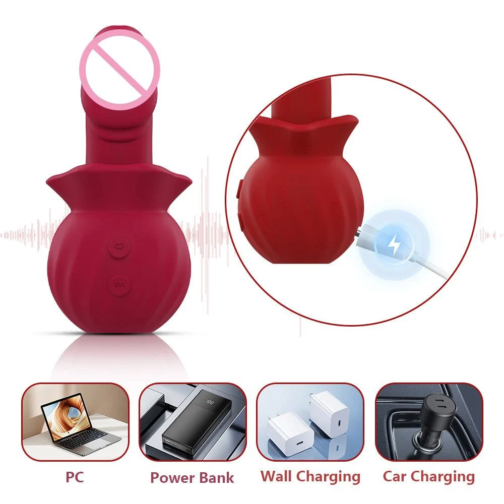 2 In1 Breast Nipple Sucking Sex Toys Dildo Vibrator for Women