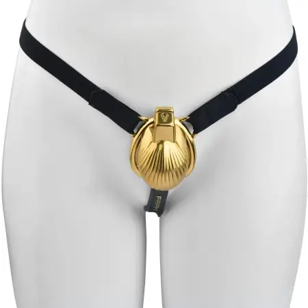 Chastity Device Penis Lock Cage with Butt Plug Male Leather Wear Flirting Metal Chastity Cage BDSM Sex Toy