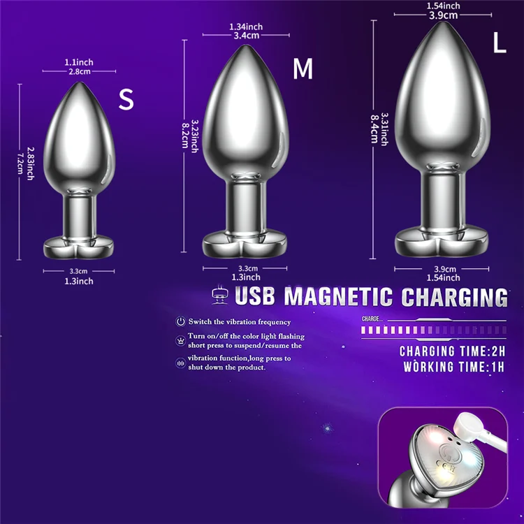 Adult Sex Products Woman's Butt Plug and Electric Anal Plug Silicone and Metal Material Sex Toy