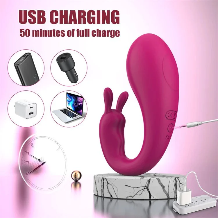 9 Modes Sex Toy Women Clitoris Stimulator Rabbit Vibrating Panties Wearable Panty Vibrator With App