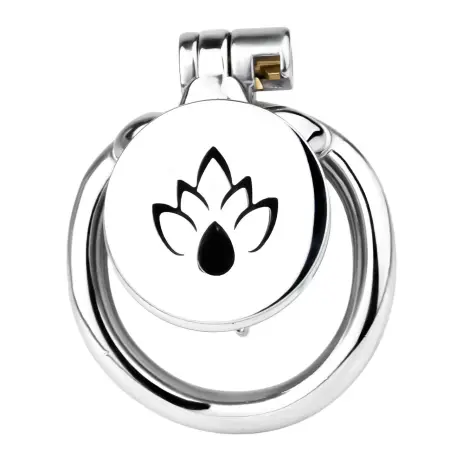Four Sizes of Chastity Locks with PA Rings Compact Sturdy Cages Flirting for Men