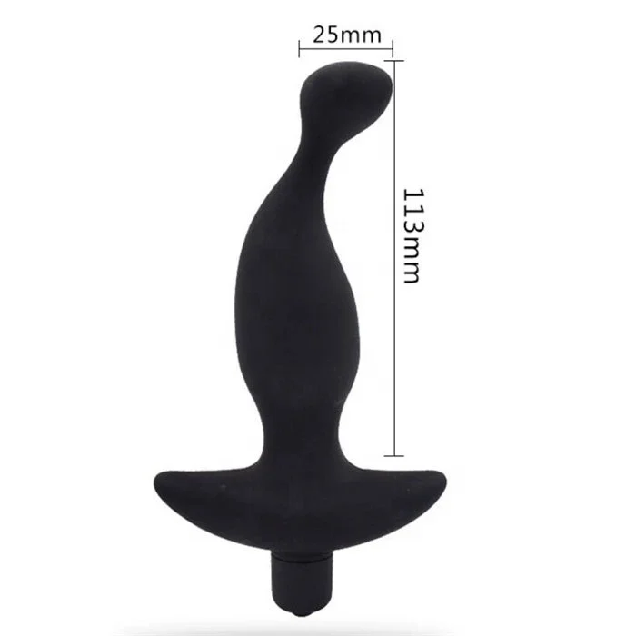 Silicone Male Prostate Massage & G-Spot Stimulator 10-Speed Adult Sex Toys Anal Plug & Vibrator for Women