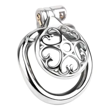 Male Mini Chastity Cage Stainless Steel Chastity Device Penis Cage Cock Ring With Lock Sex Toys for Men Sissy