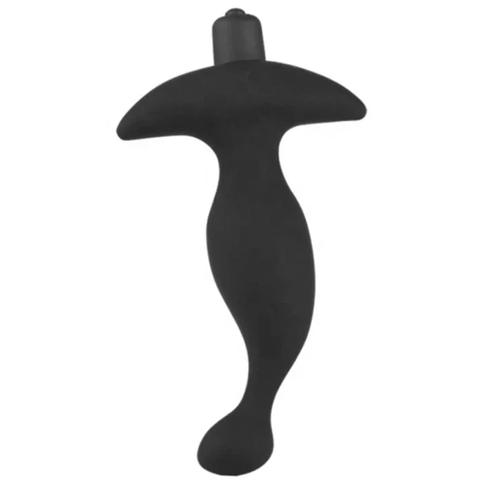 Silicone Male Prostate Massage & G-Spot Stimulator 10-Speed Adult Sex Toys Anal Plug & Vibrator for Women