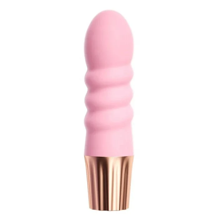 Rechargeable Mini Vibrator for Adult Women 6 Shape Clitoris G Spot Stimulating
