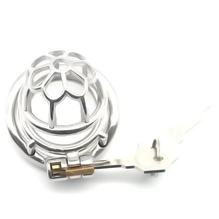 Stainless Steel Cock Cage with Padlock Male Urethral Cuckold Cock Chastity Cage