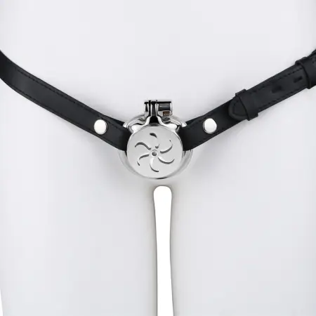 Stainless Steel Wearable Male Chastity Cage with Built-in Catheter, Stimulating Sensation SM Bondage Penis Cage Sex Toy