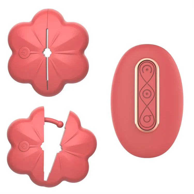 New Hot Female Breast Clip Vibrator 10 Vibration Wireless Sex Toys Vibrating Nipple Clamps