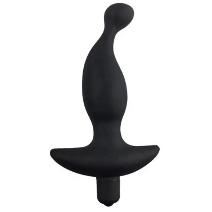 Silicone Male Prostate Massage & G-Spot Stimulator 10-Speed Adult Sex Toys Anal Plug & Vibrator for Women
