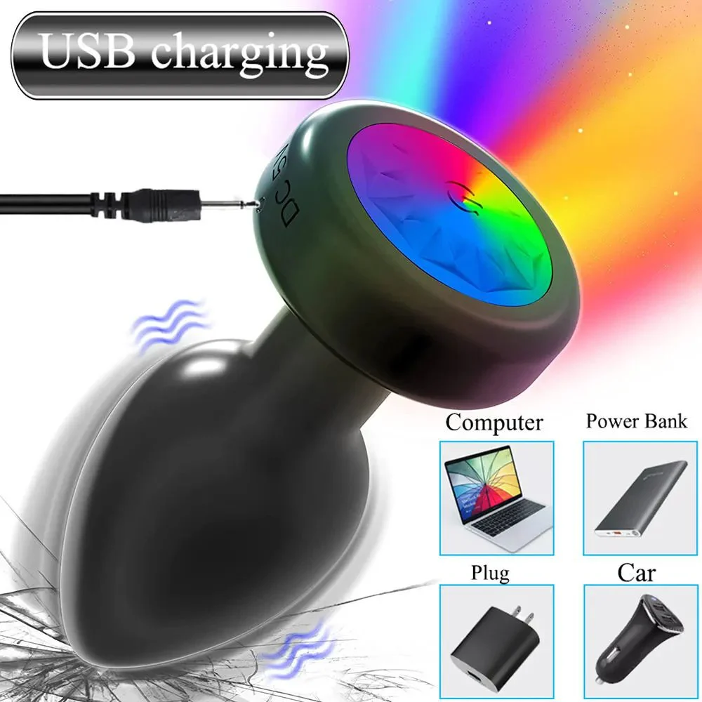 Oval Metal Posterior Chamber Adult Sex Toy Anal Plug for Sexual Pleasure