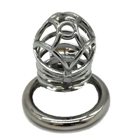6.6cm Man Chastity Lock Penis in Cage with Key Male Chastity Device Metal Chastity Cage