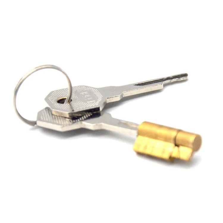 50mm Sm Sex Toys Chastity Lock Penis Cage with Keyholder Male Chastity Device Sex Shop Chastity Cage 304 Stainless Steel